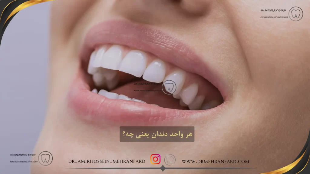 هر واحد دندان یعنی چه؟